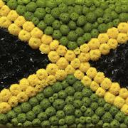 Jamaica Flag Tribute - Any Country - Choose A Country