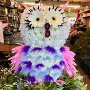 3D Owl Tribute