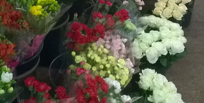 Funeral Flowers