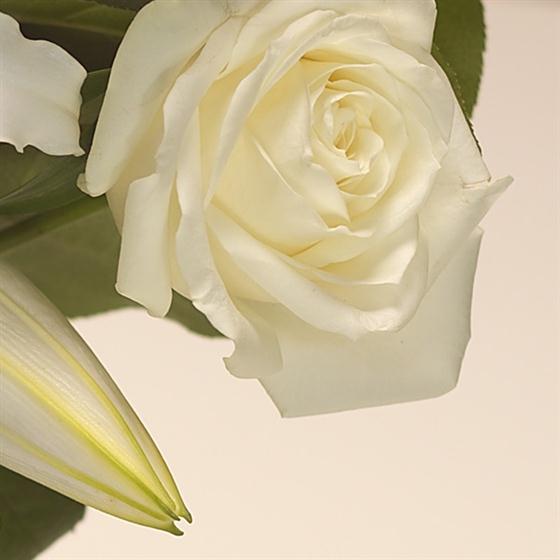 Throw Roses Encore Encore Richard Mathews Florist Abingdon